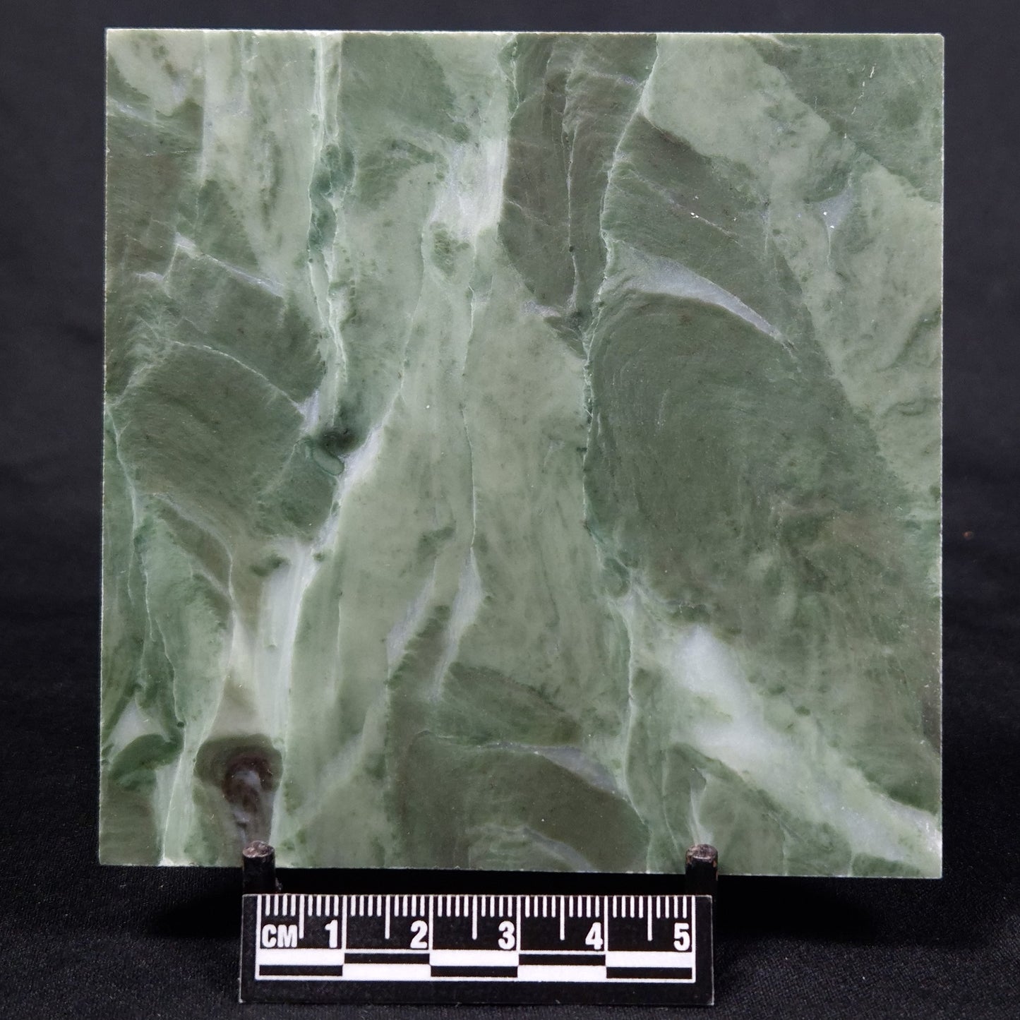 STROMATOLITE BAICALIA CAPRICORNIA, Mesoproterozoic, Australia ZBC009