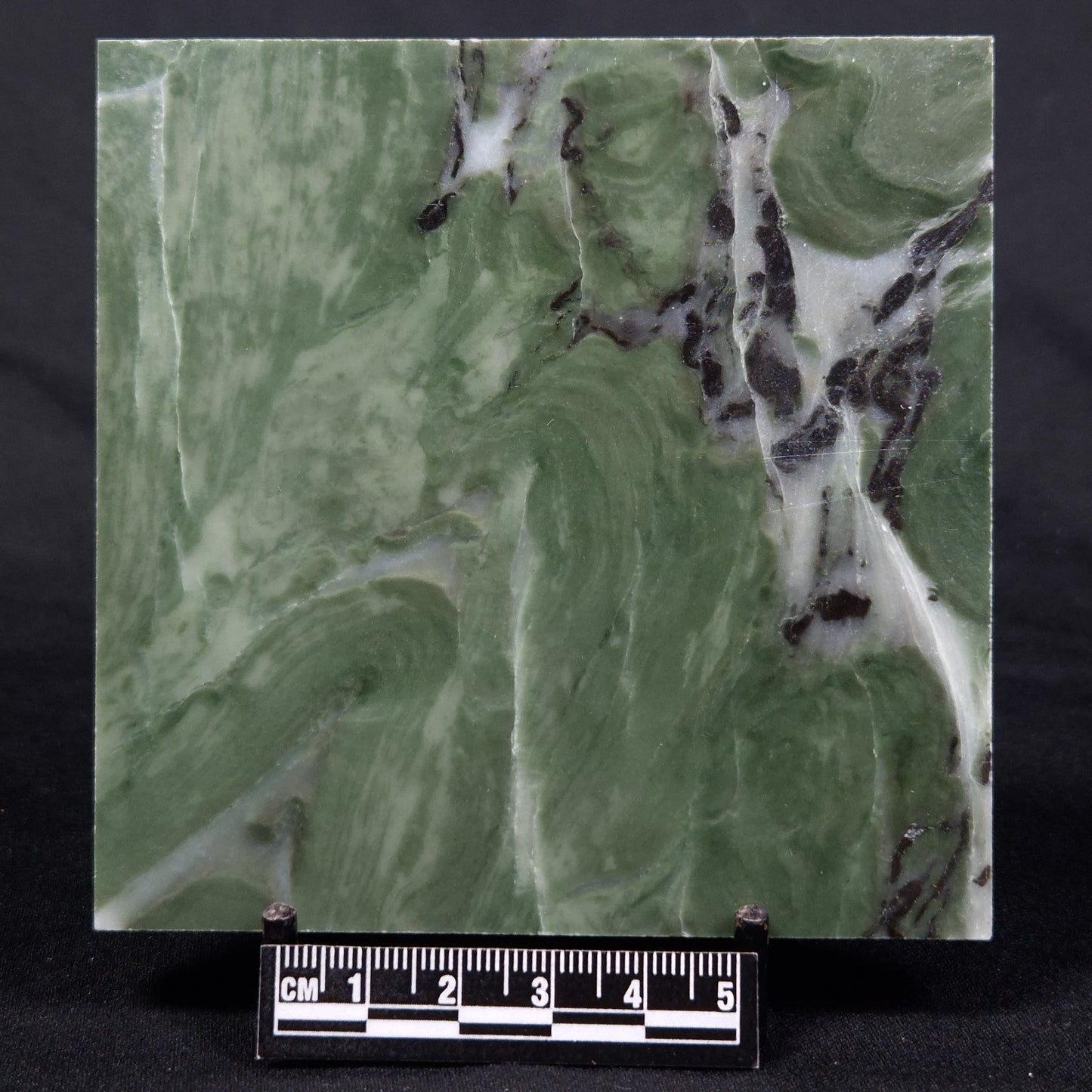 STROMATOLITE BAICALIA CAPRICORNIA, Mesoproterozoic, Australia ZBC010