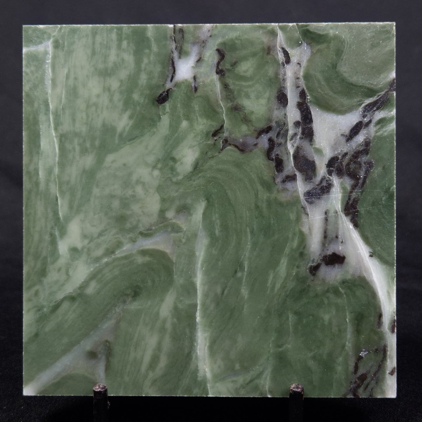 STROMATOLITE BAICALIA CAPRICORNIA, Mesoproterozoic, Australia ZBC010