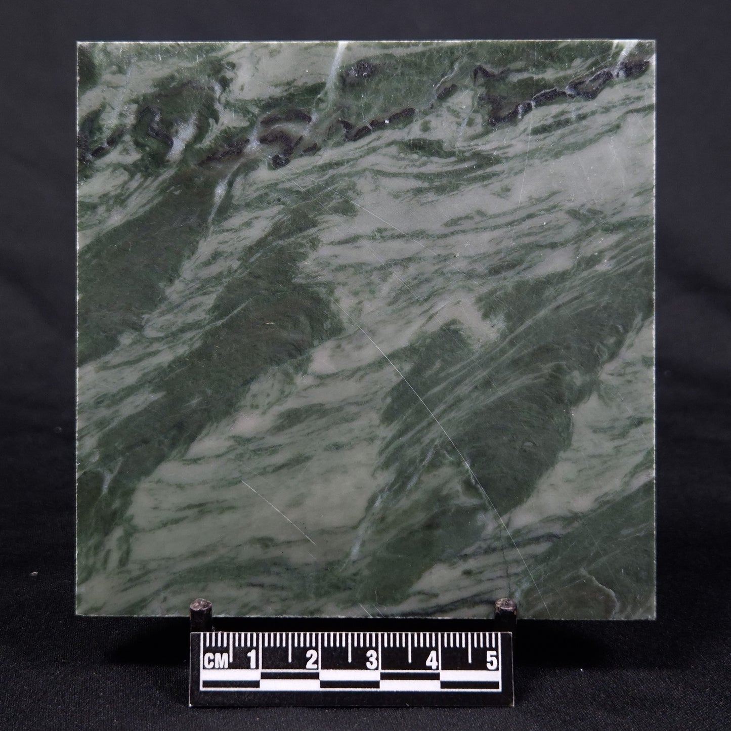 STROMATOLITE BAICALIA CAPRICORNIA, Mesoproterozoic, Australia ZBC012