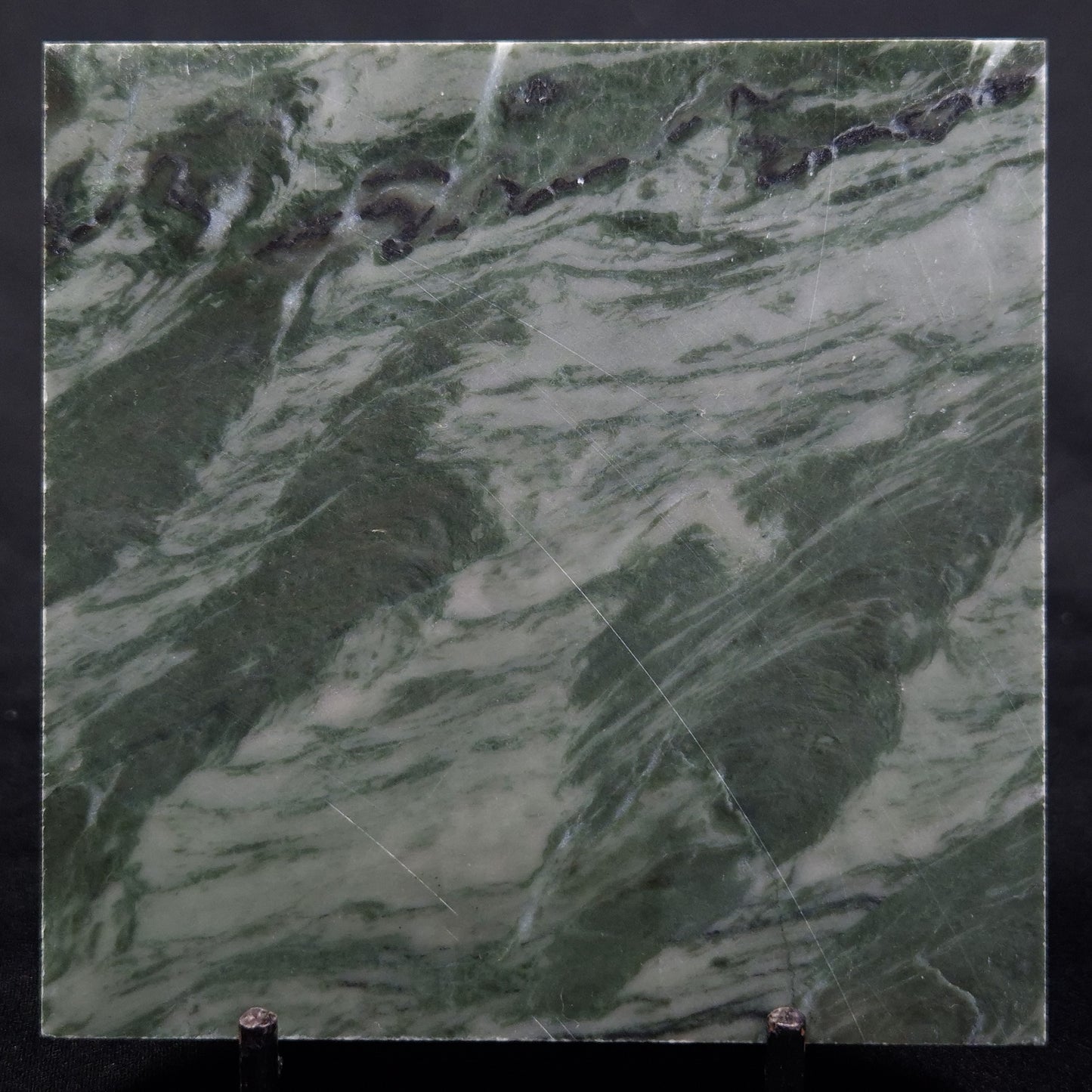 STROMATOLITE BAICALIA CAPRICORNIA, Mesoproterozoic, Australia ZBC012