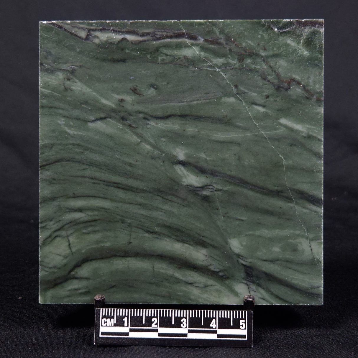 STROMATOLITE BAICALIA CAPRICORNIA, Mesoproterozoic, Australia ZBC014