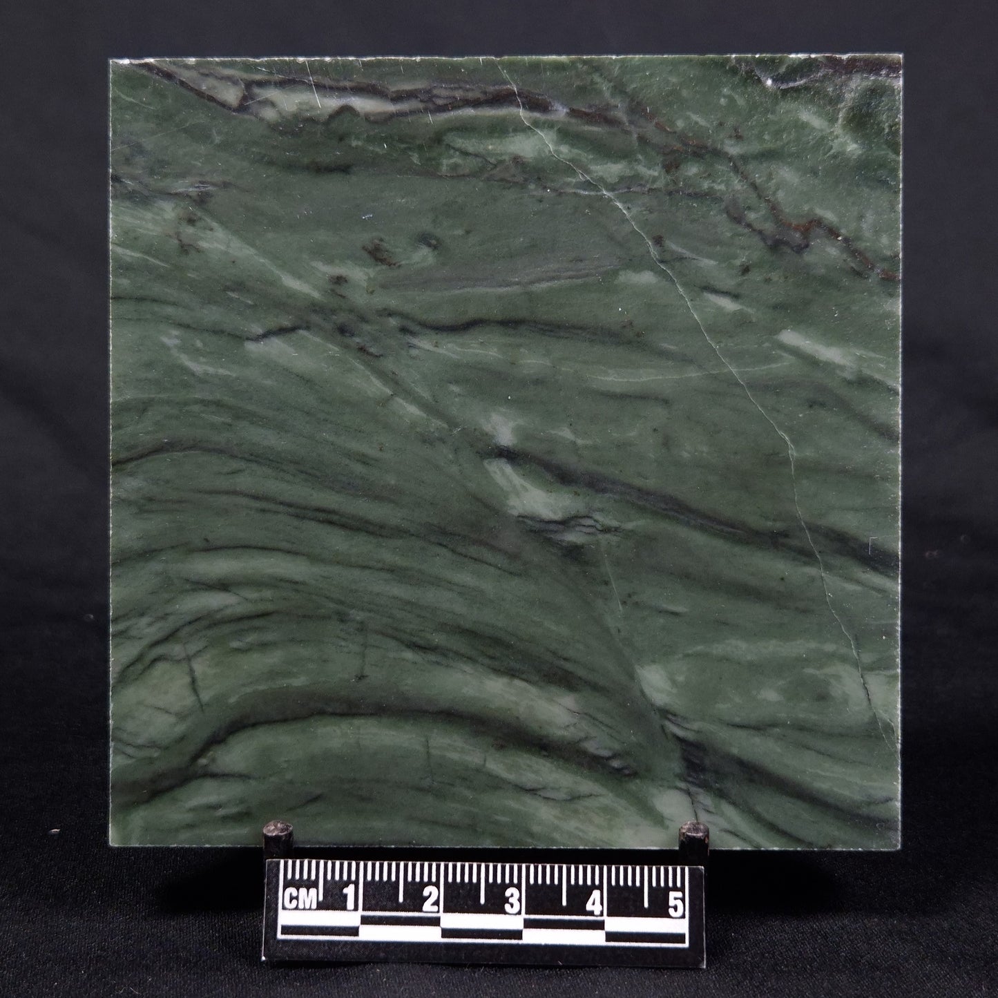 STROMATOLITE BAICALIA CAPRICORNIA, Mesoproterozoic, Australia ZBC014