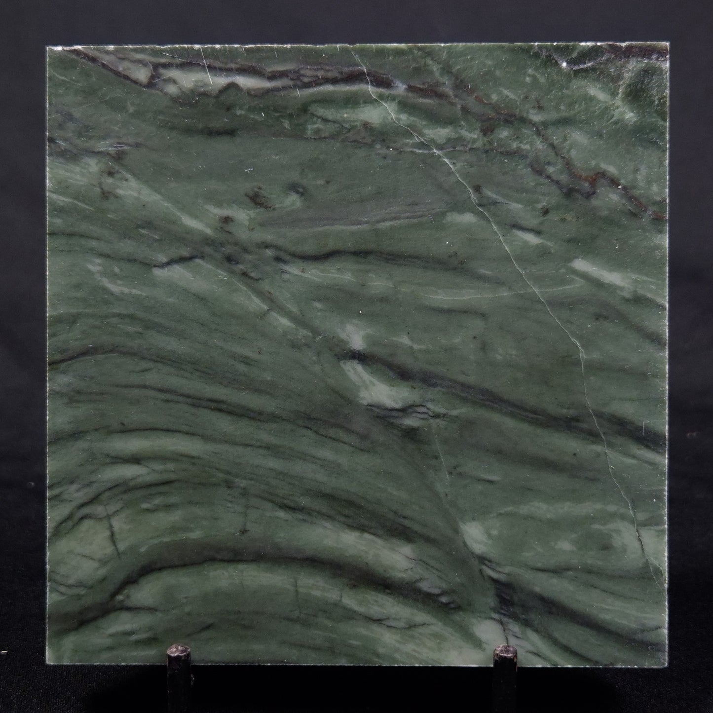 STROMATOLITE BAICALIA CAPRICORNIA, Mesoproterozoic, Australia ZBC014