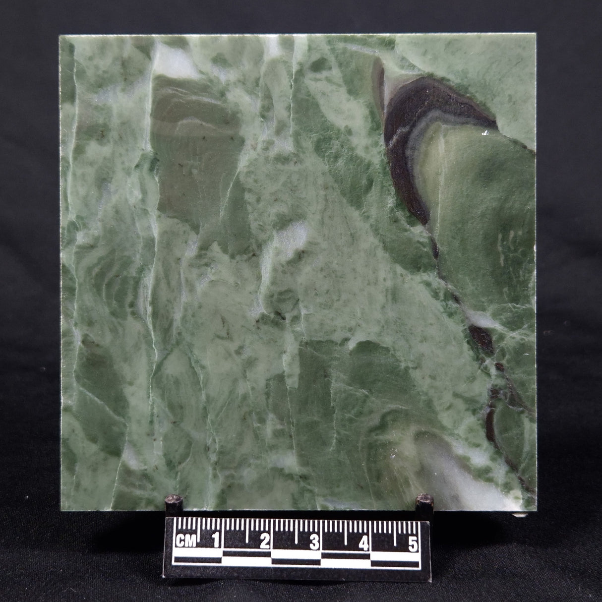 STROMATOLITE BAICALIA CAPRICORNIA, Mesoproterozoic, Australia ZBC015