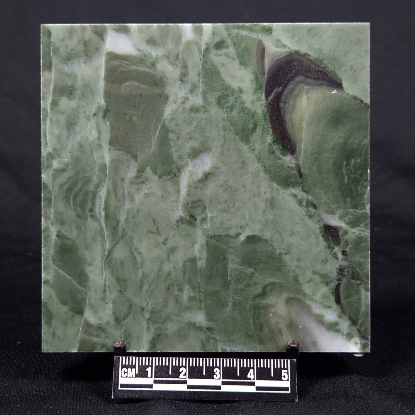 STROMATOLITE BAICALIA CAPRICORNIA, Mesoproterozoic, Australia ZBC015