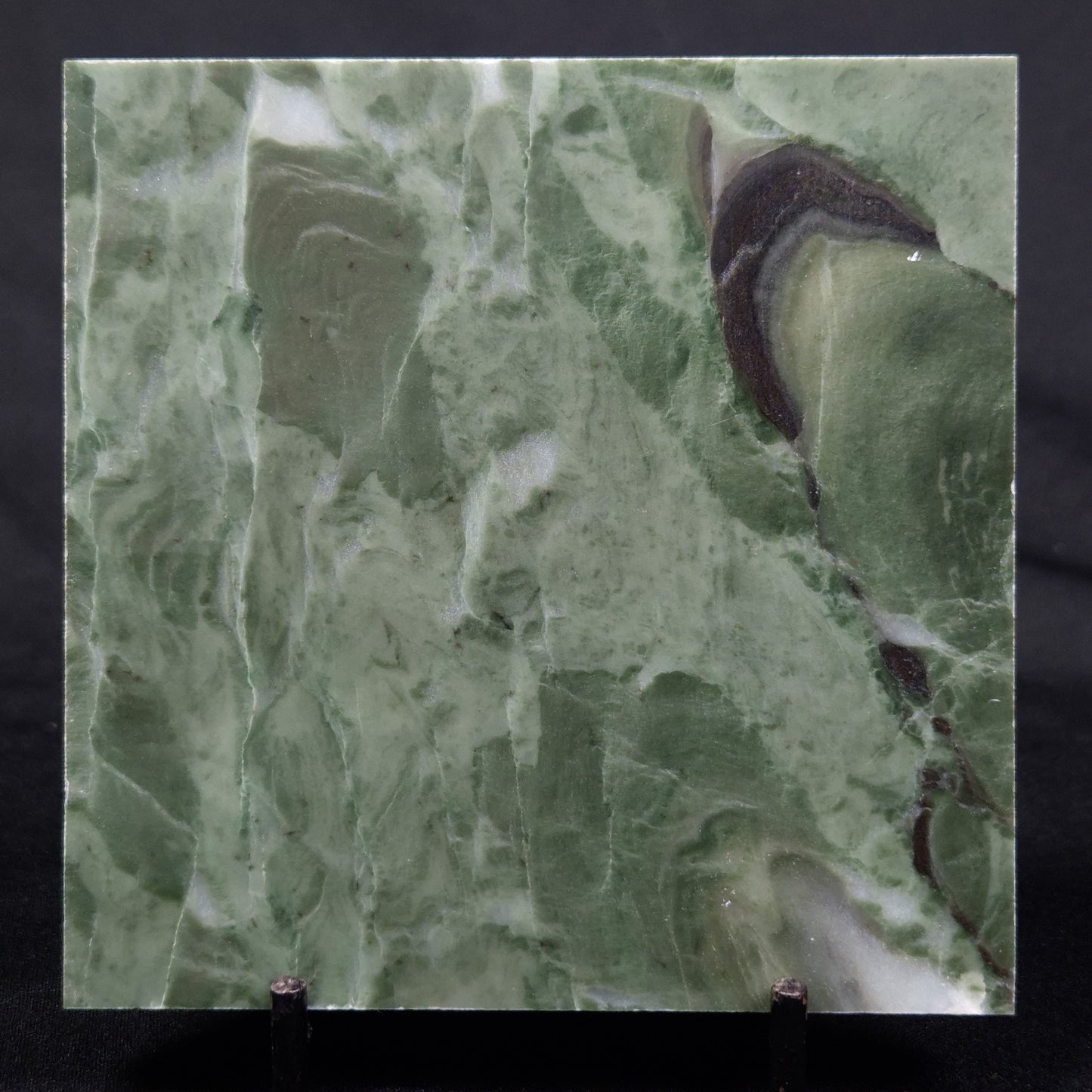 STROMATOLITE BAICALIA CAPRICORNIA, Mesoproterozoic, Australia ZBC015
