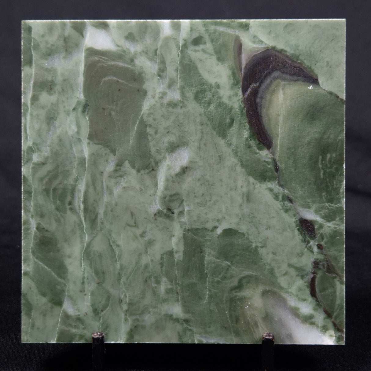 STROMATOLITE BAICALIA CAPRICORNIA, Mesoproterozoic, Australia ZBC015