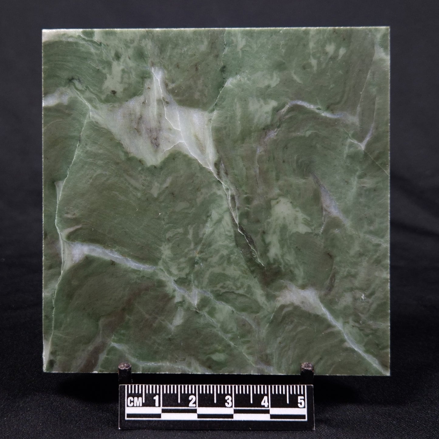 STROMATOLITE BAICALIA CAPRICORNIA, Mesoproterozoic, Australia ZBC016