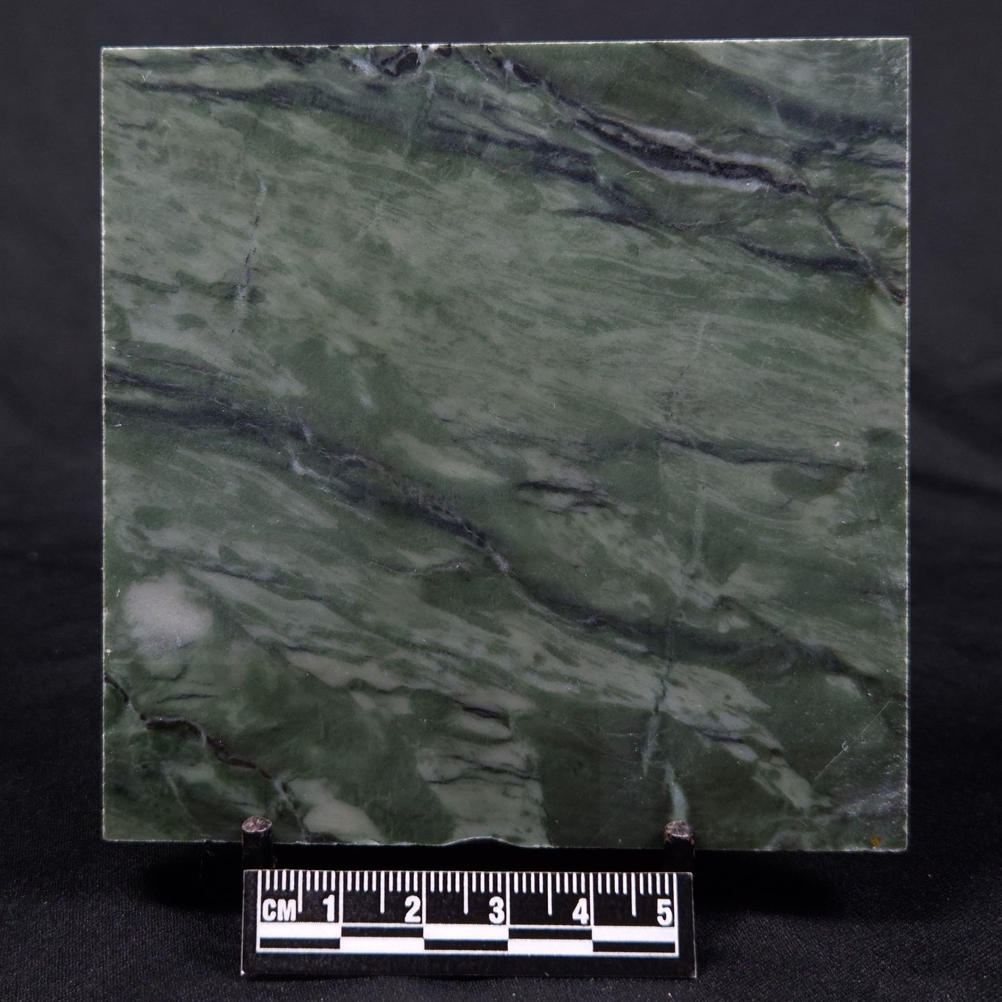 STROMATOLITE BAICALIA CAPRICORNIA, Mesoproterozoic, Australia ZBC017