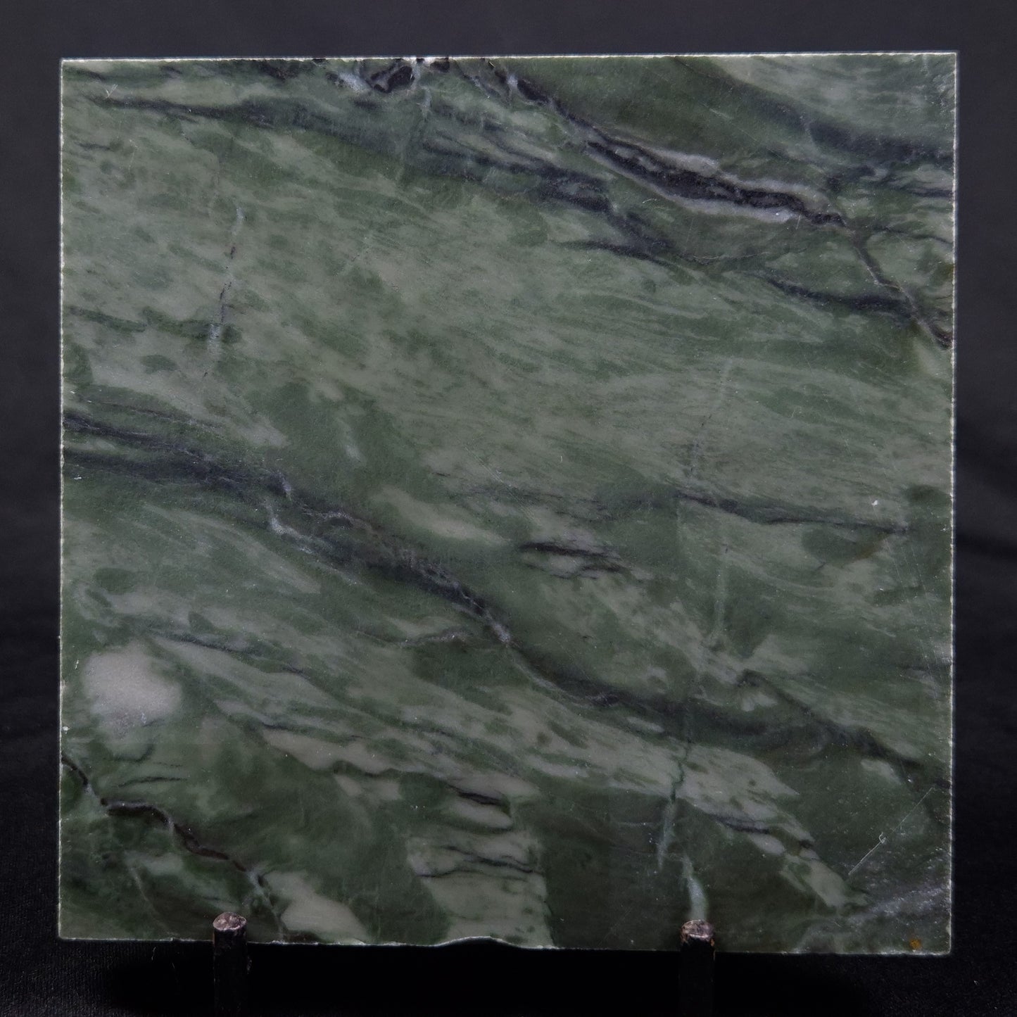 STROMATOLITE BAICALIA CAPRICORNIA, Mesoproterozoic, Australia ZBC017