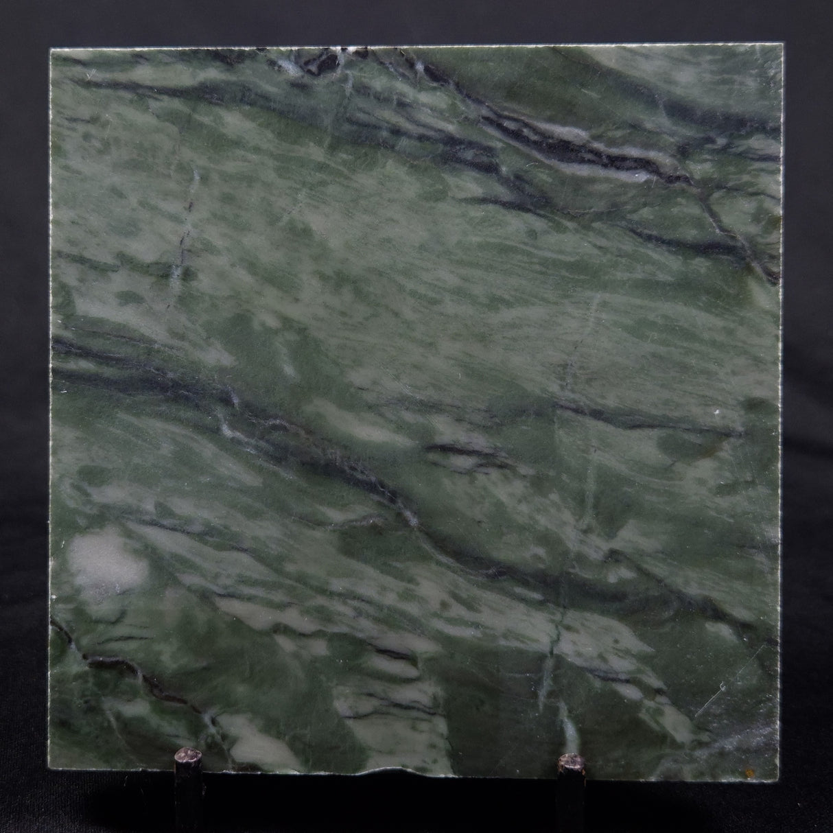 STROMATOLITE BAICALIA CAPRICORNIA, Mesoproterozoic, Australia ZBC017
