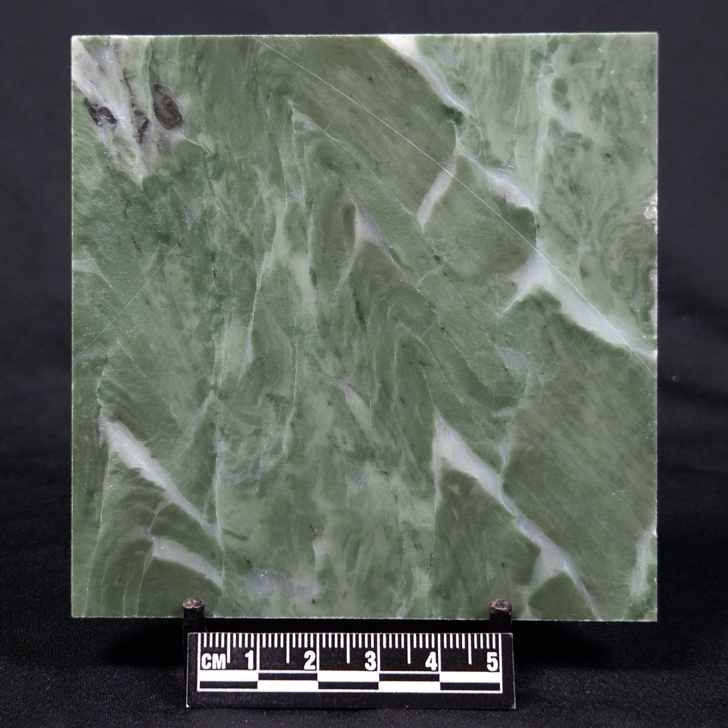 STROMATOLITE BAICALIA CAPRICORNIA, Mesoproterozoic, Australia ZBC018