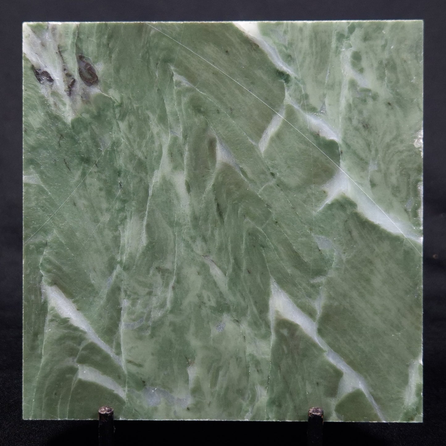 STROMATOLITE BAICALIA CAPRICORNIA, Mesoproterozoic, Australia ZBC018