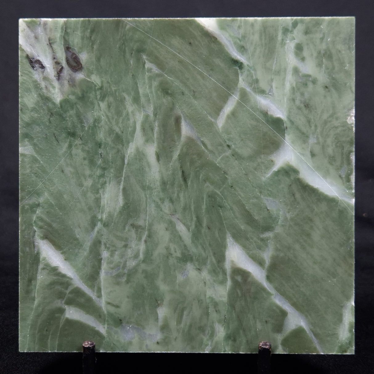 STROMATOLITE BAICALIA CAPRICORNIA, Mesoproterozoic, Australia ZBC018