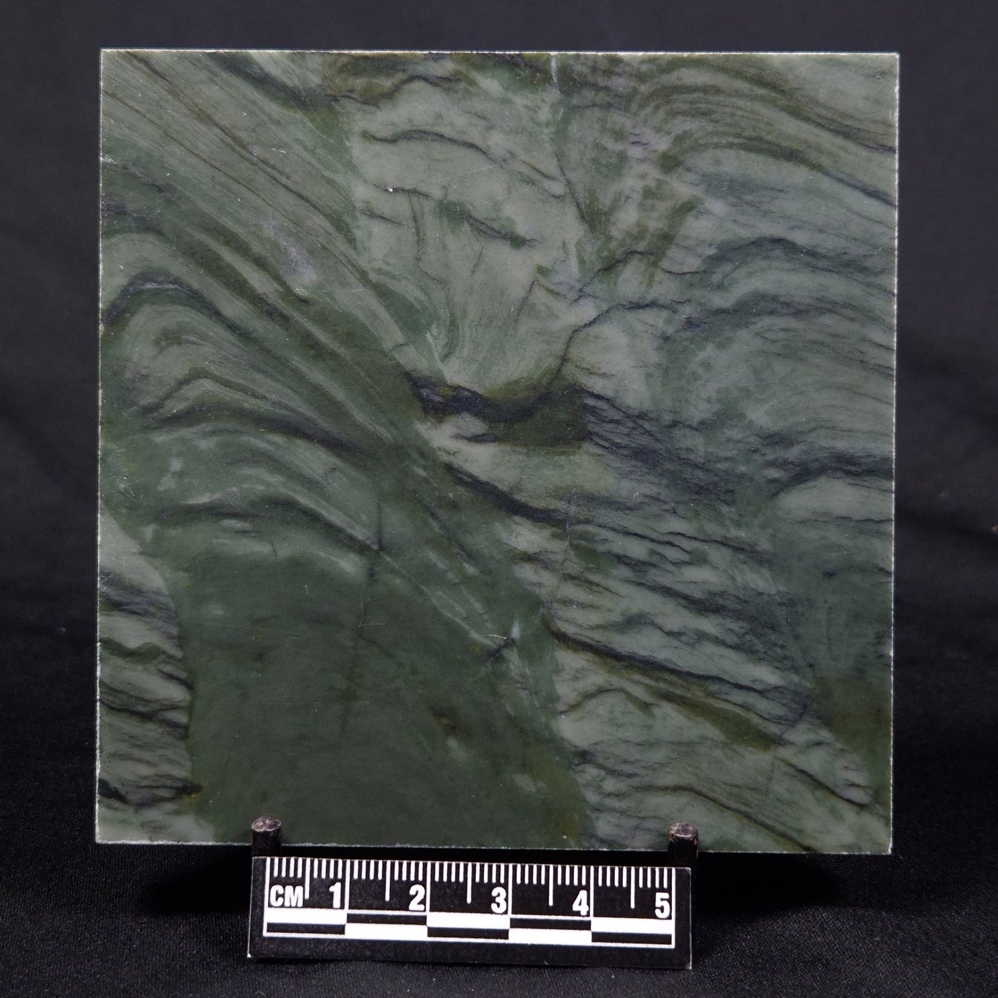 STROMATOLITE BAICALIA CAPRICORNIA, Mesoproterozoic, Australia ZBC019