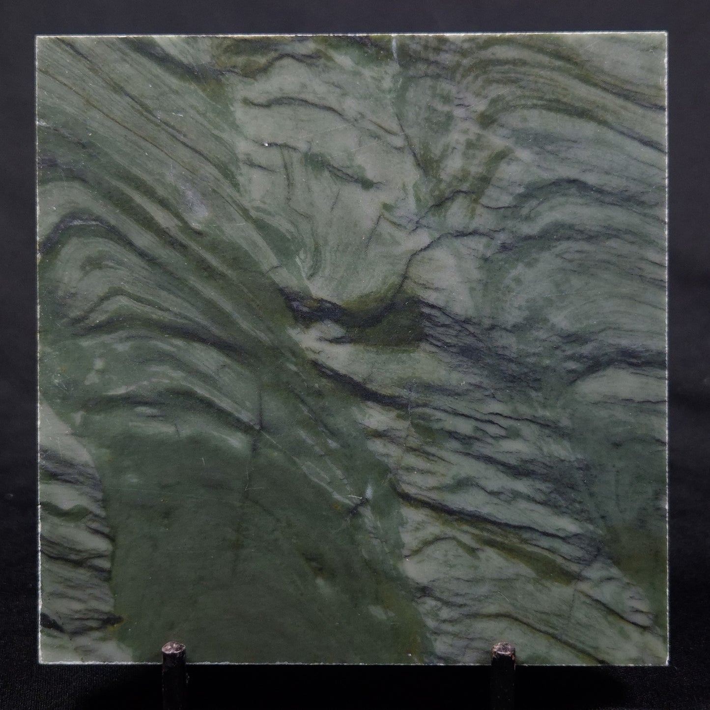 STROMATOLITE BAICALIA CAPRICORNIA, Mesoproterozoic, Australia ZBC019