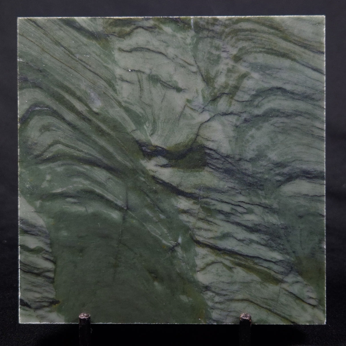 STROMATOLITE BAICALIA CAPRICORNIA, Mesoproterozoic, Australia ZBC019
