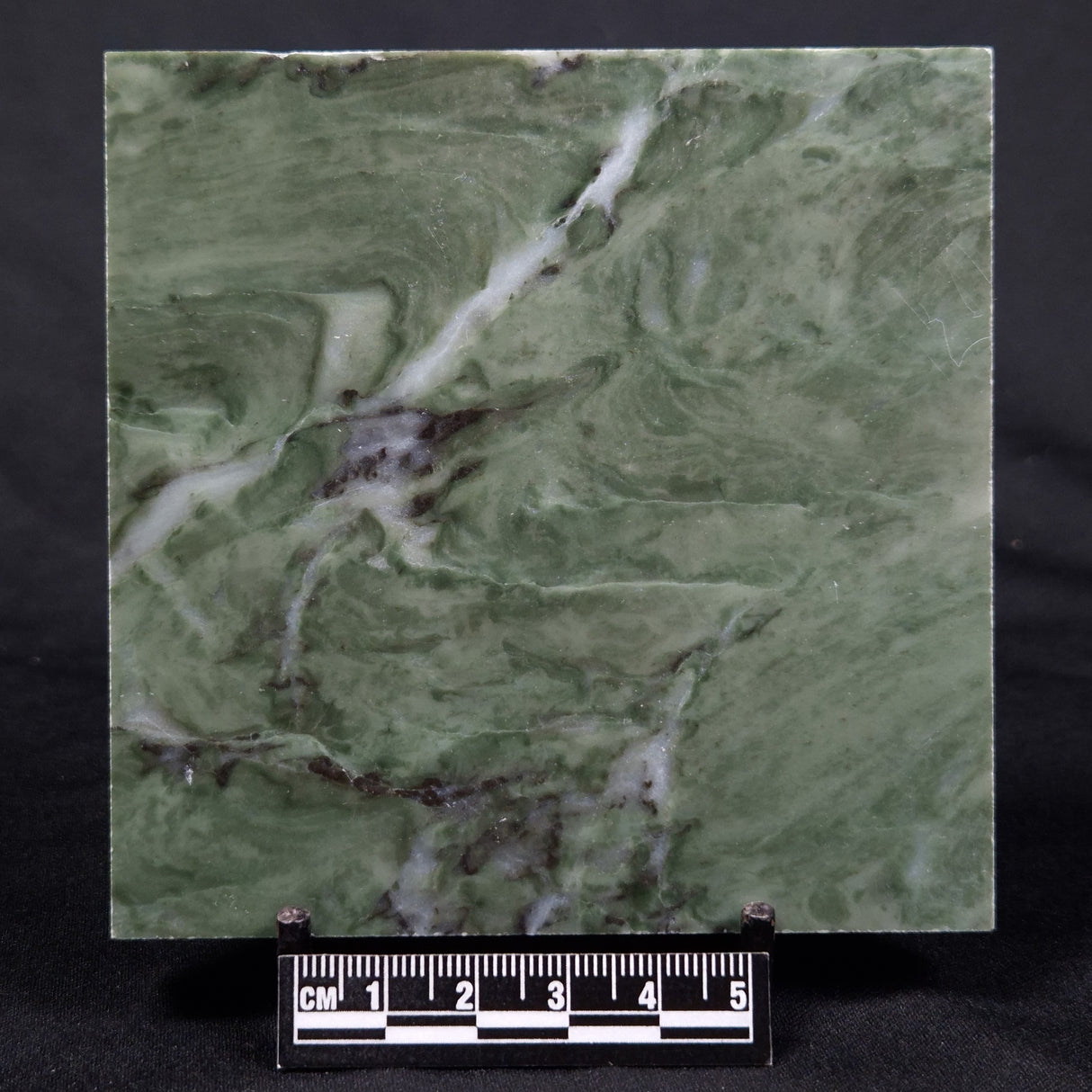 STROMATOLITE BAICALIA CAPRICORNIA, Mesoproterozoic, Australia ZBC020