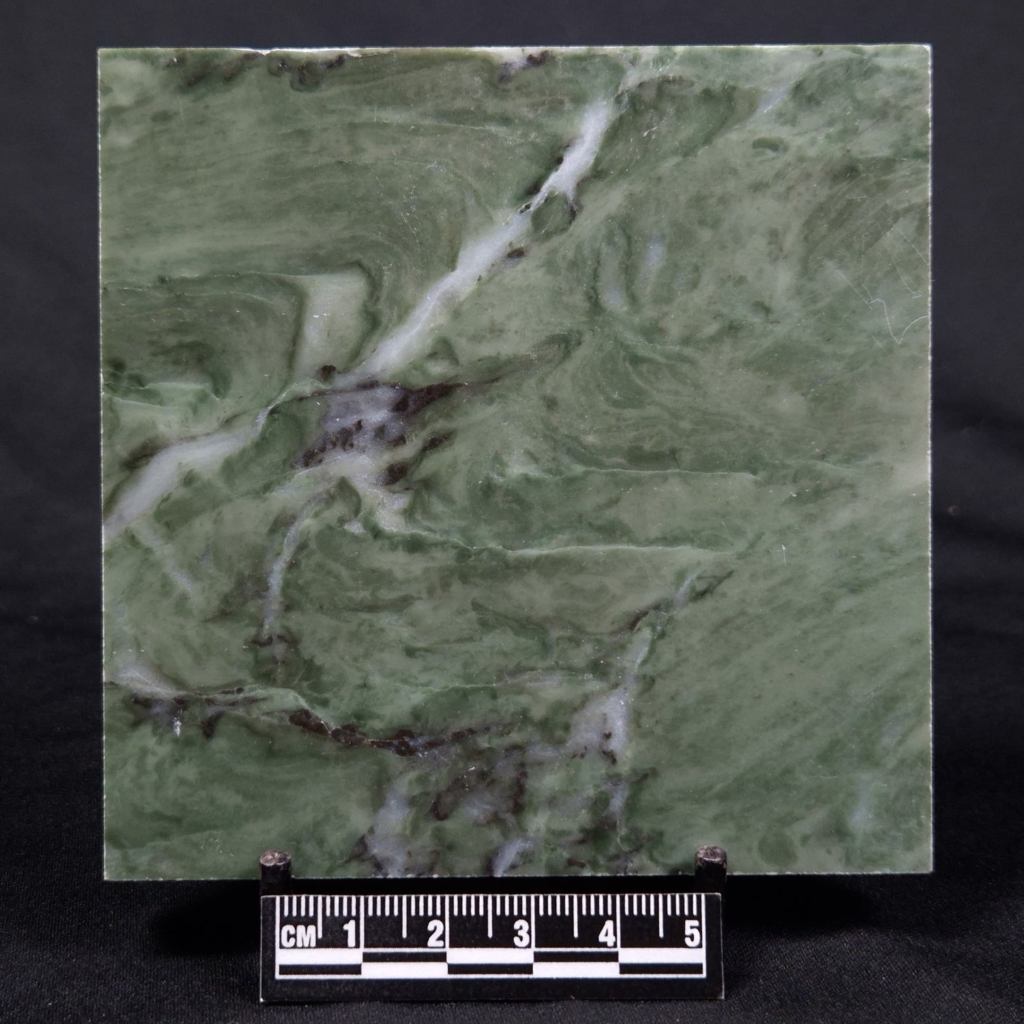 STROMATOLITE BAICALIA CAPRICORNIA, Mesoproterozoic, Australia ZBC020