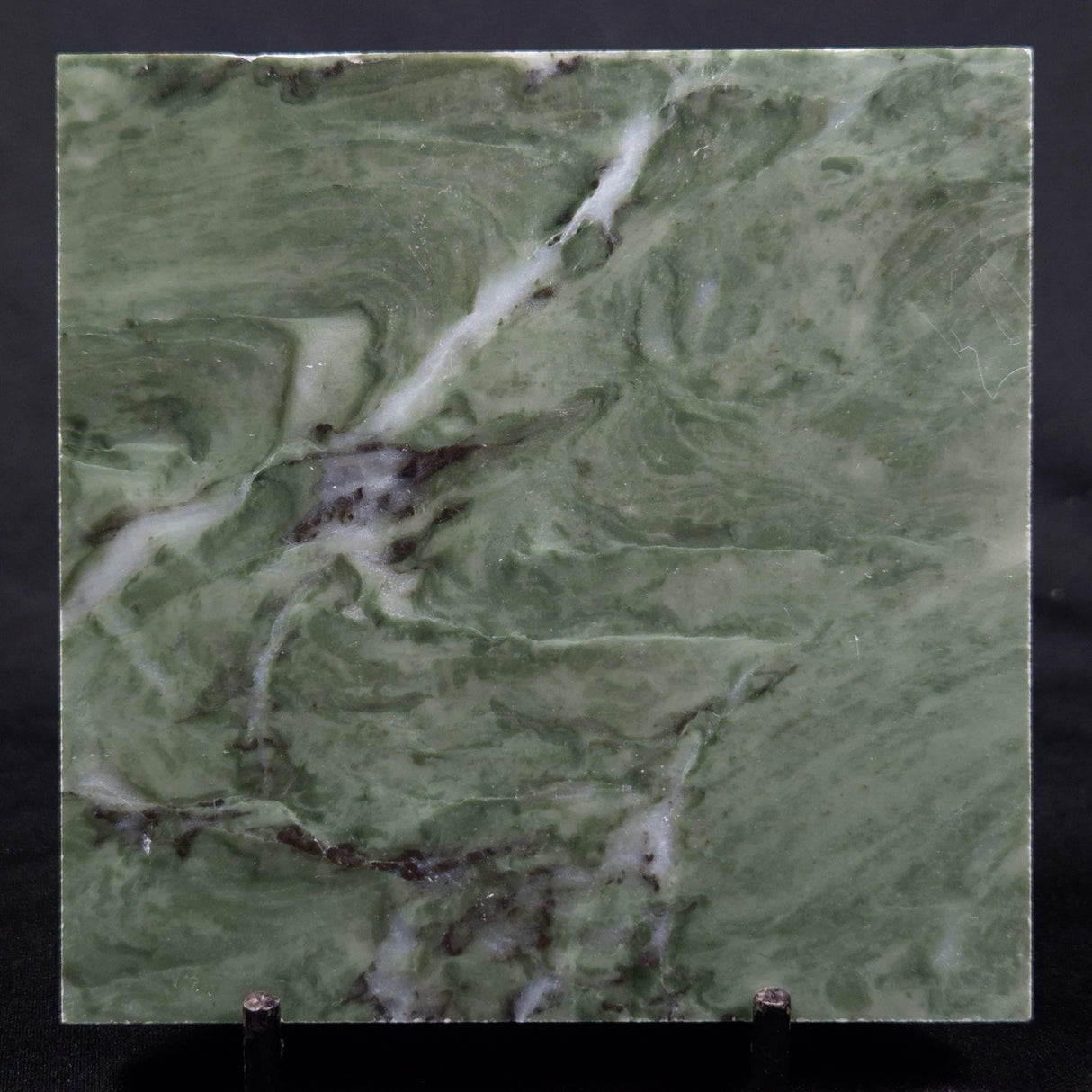 STROMATOLITE BAICALIA CAPRICORNIA, Mesoproterozoic, Australia ZBC020