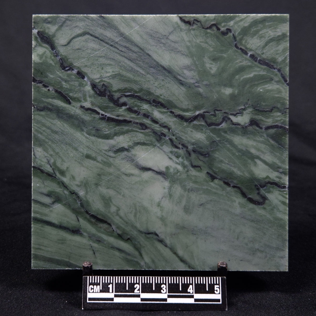 STROMATOLITE BAICALIA CAPRICORNIA, Mesoproterozoic, Australia ZBC022