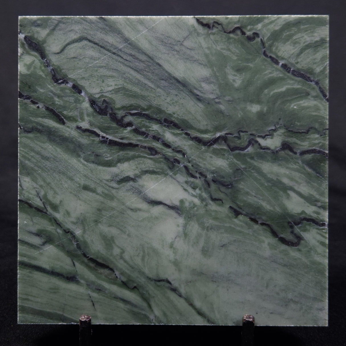 STROMATOLITE BAICALIA CAPRICORNIA, Mesoproterozoic, Australia ZBC022