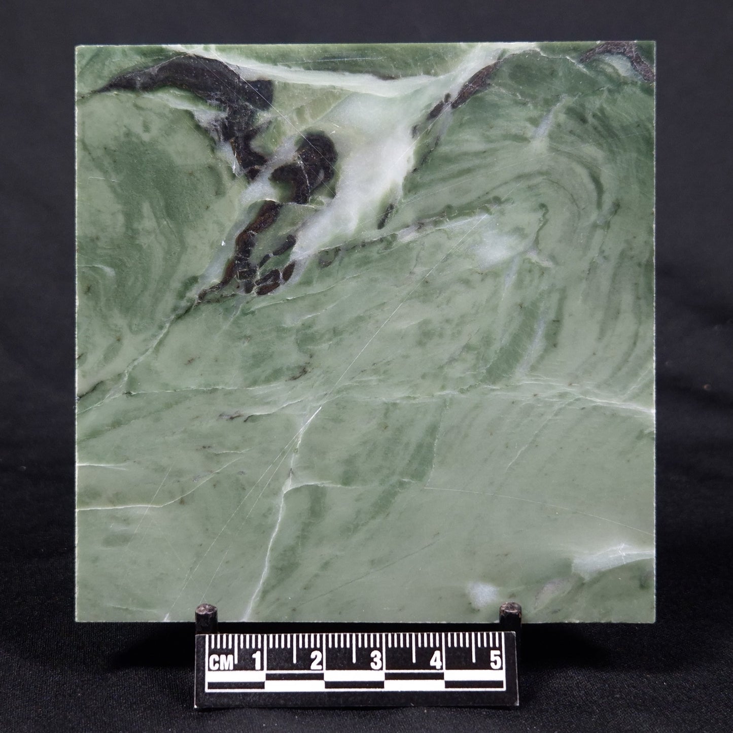 STROMATOLITE BAICALIA CAPRICORNIA, Mesoproterozoic, Australia ZBC023