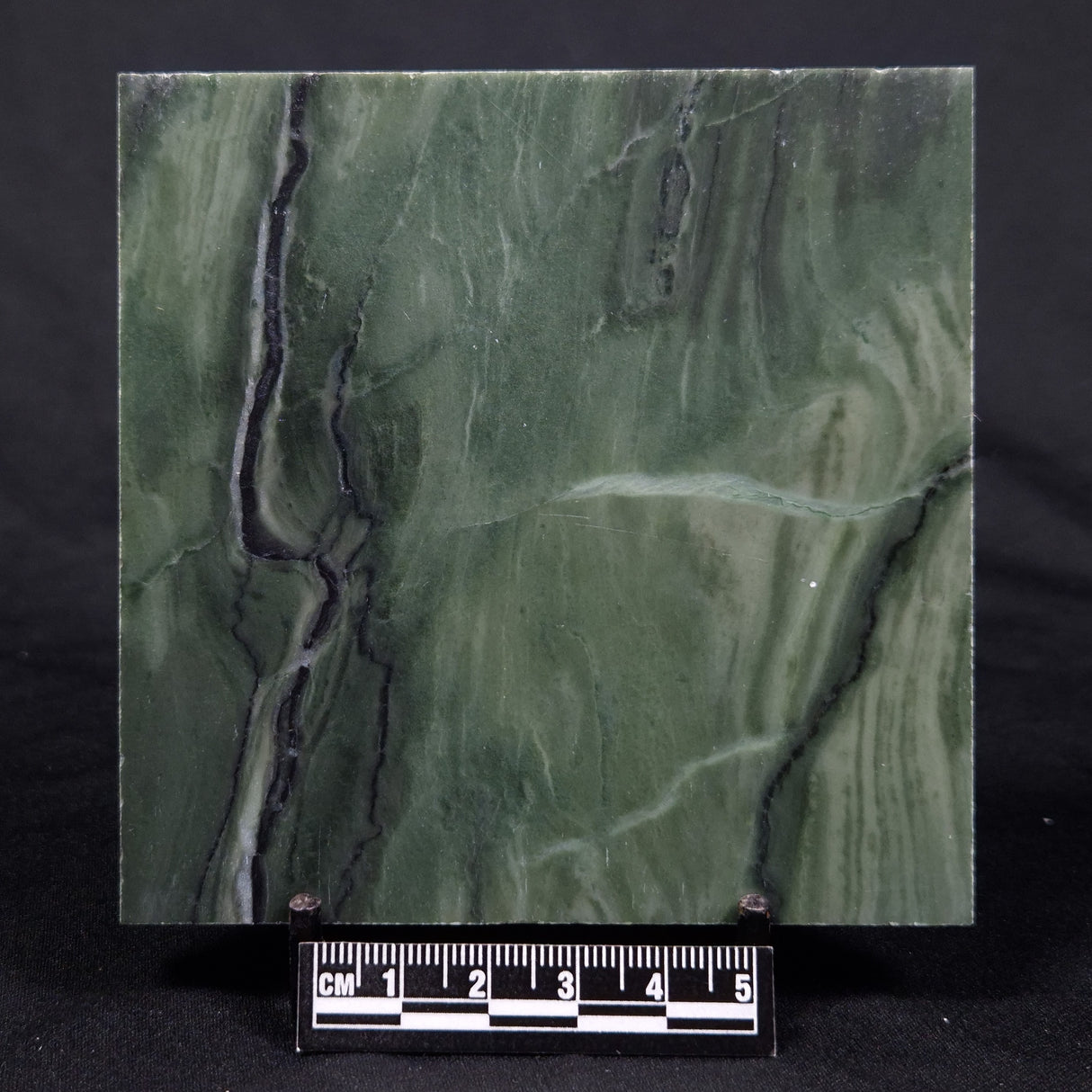 STROMATOLITE BAICALIA CAPRICORNIA, Mesoproterozoic, Australia ZBC025
