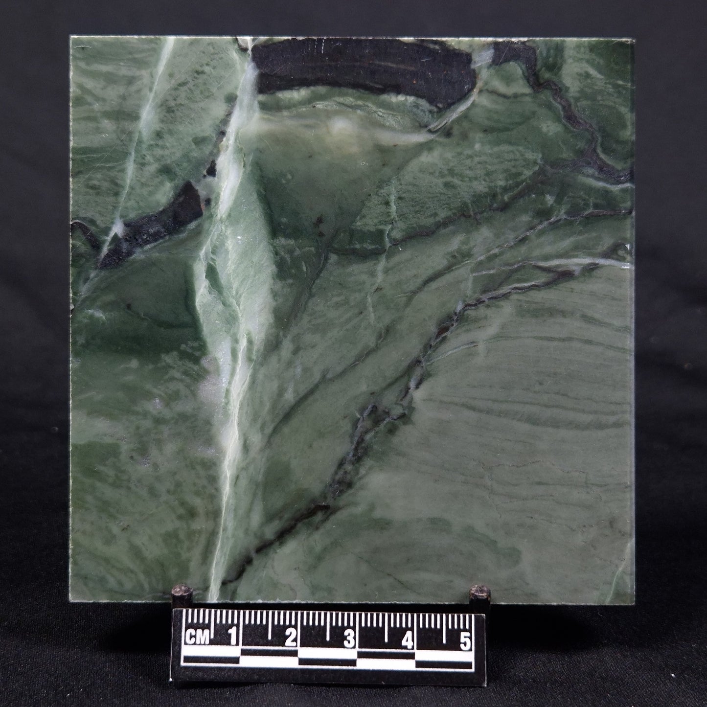 STROMATOLITE BAICALIA CAPRICORNIA, Mesoproterozoic, Australia ZBC027