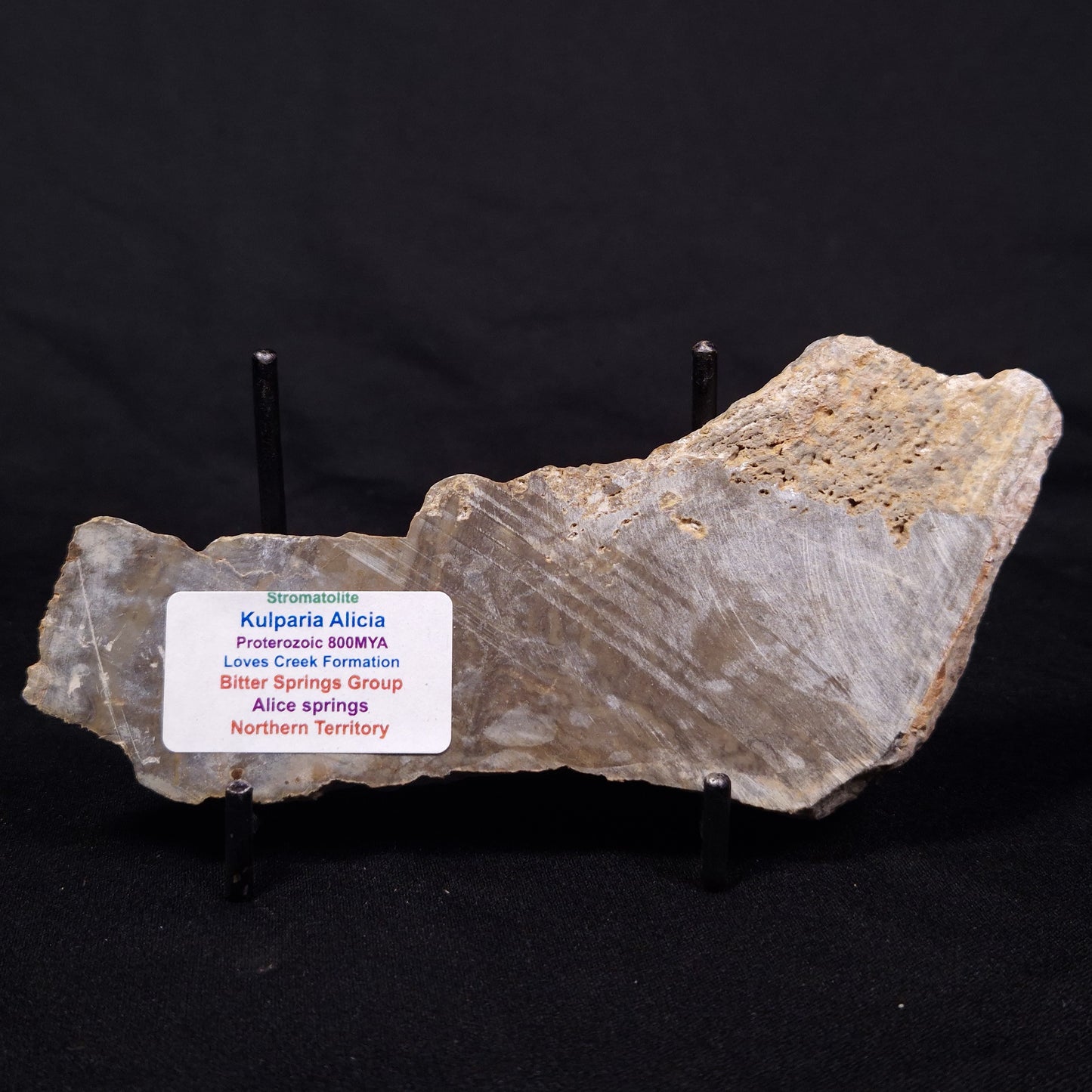 KULPARIA ALICIA STROMATOLITE, Proterozoic, Australia ZKA016