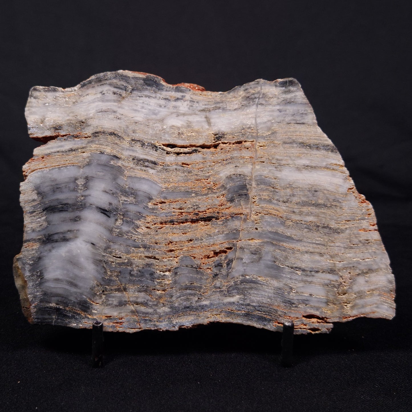 MOUNT MCGRATH STROMATOLITE, Lower Proterozoic, Australia ZMG037