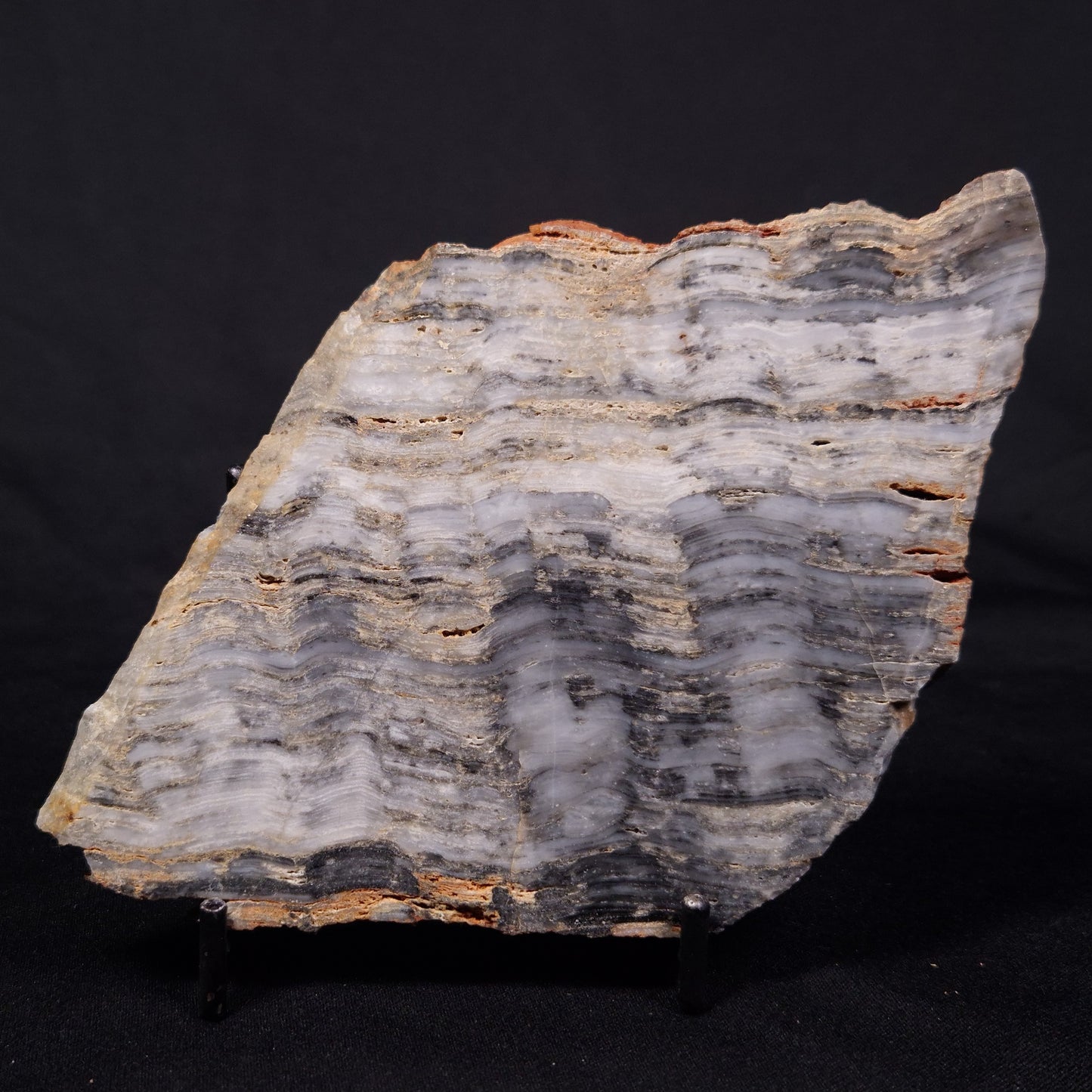MOUNT MCGRATH STROMATOLITE, Lower Proterozoic, Australia ZMG038