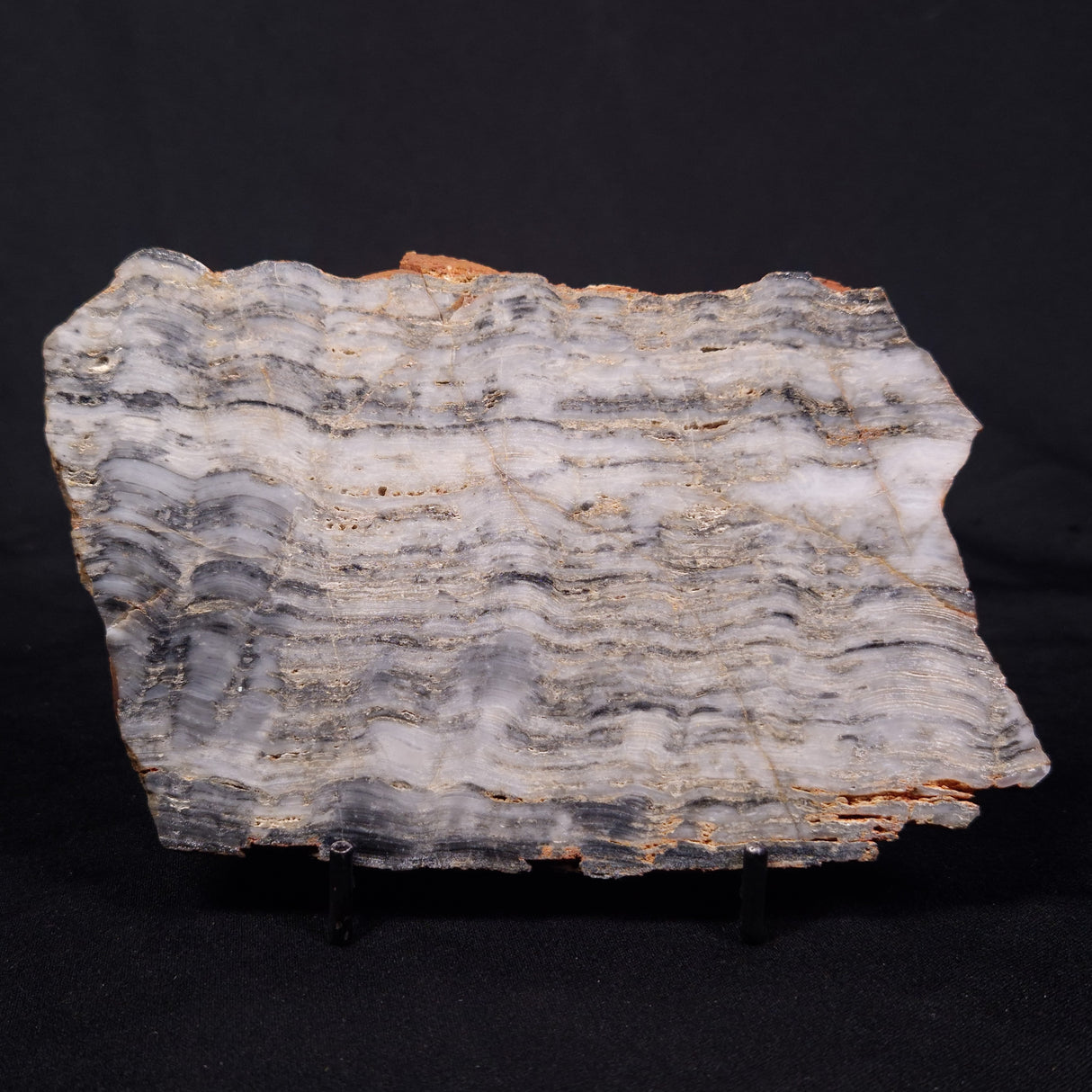 MOUNT MCGRATH STROMATOLITE, Lower Proterozoic, Australia ZMG044