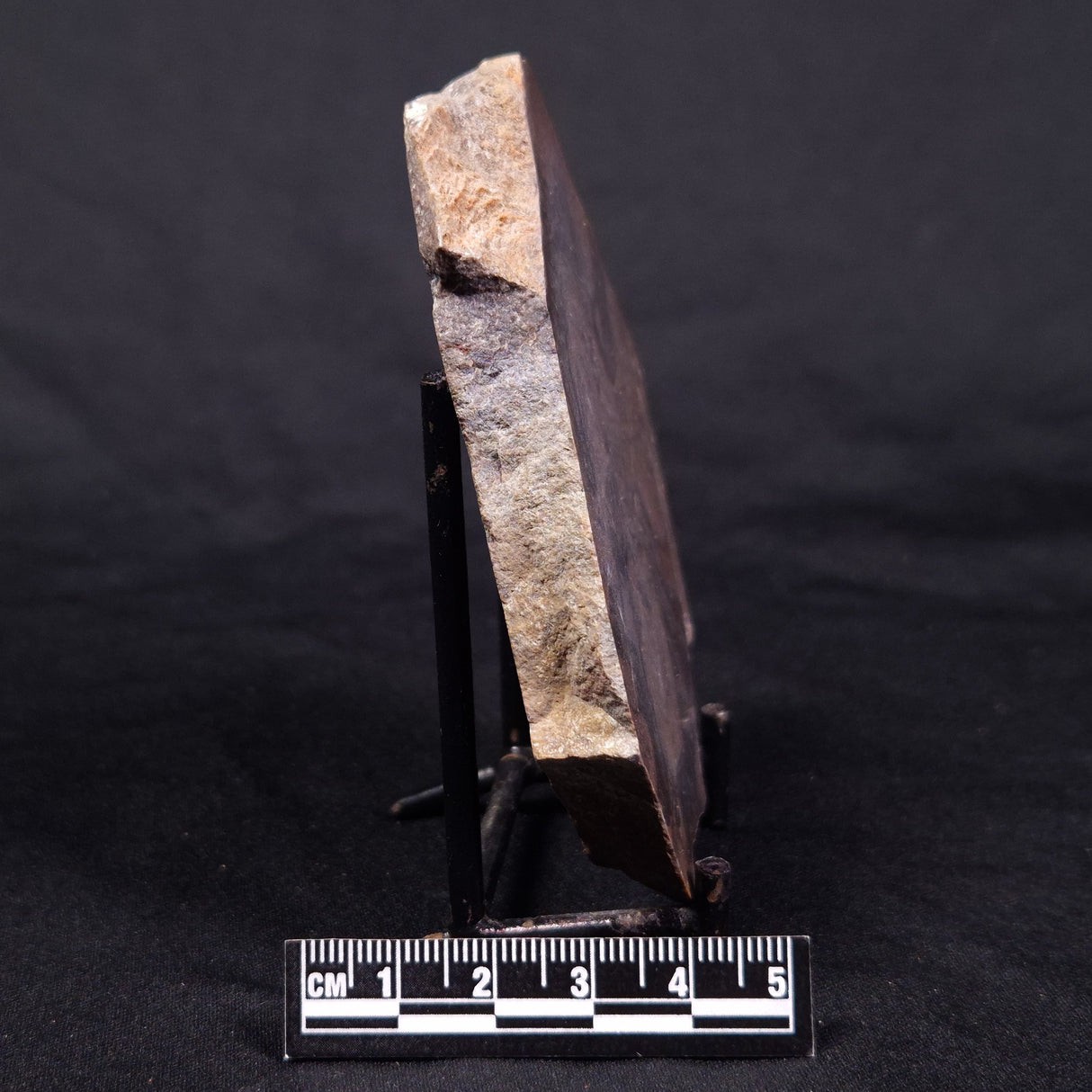 LINELLA AVIS STROMATOLITE, Proterozoic, Australia ZLA042