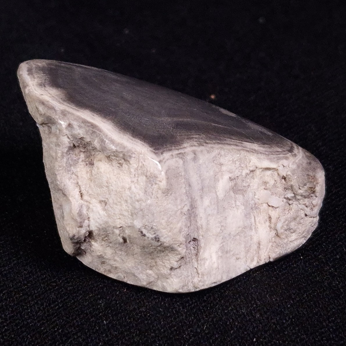 PETRIFIED WOOD, Jurassic, Australia XPL016