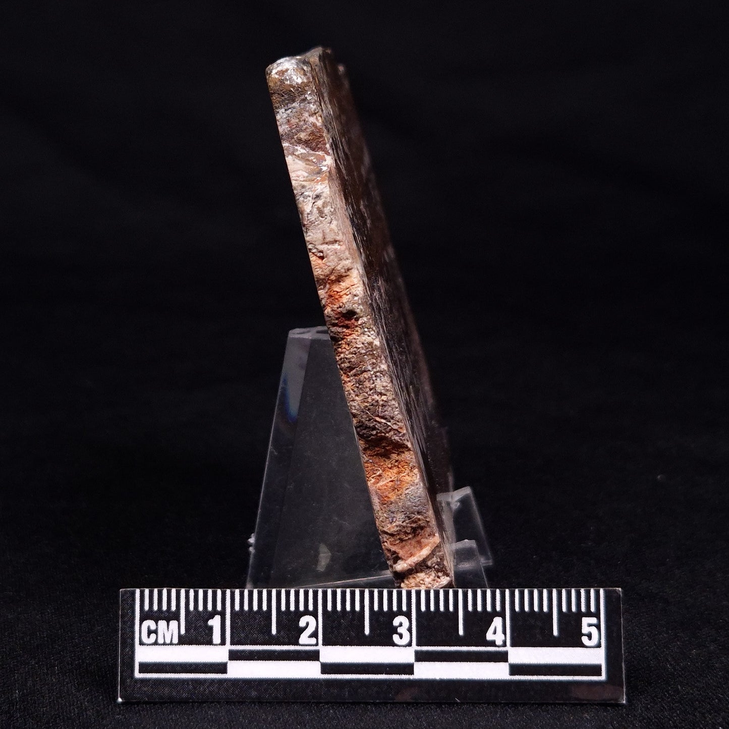 STROMATOLITE, Jerrinah Formation, Proterozoic, Australia ZJF055