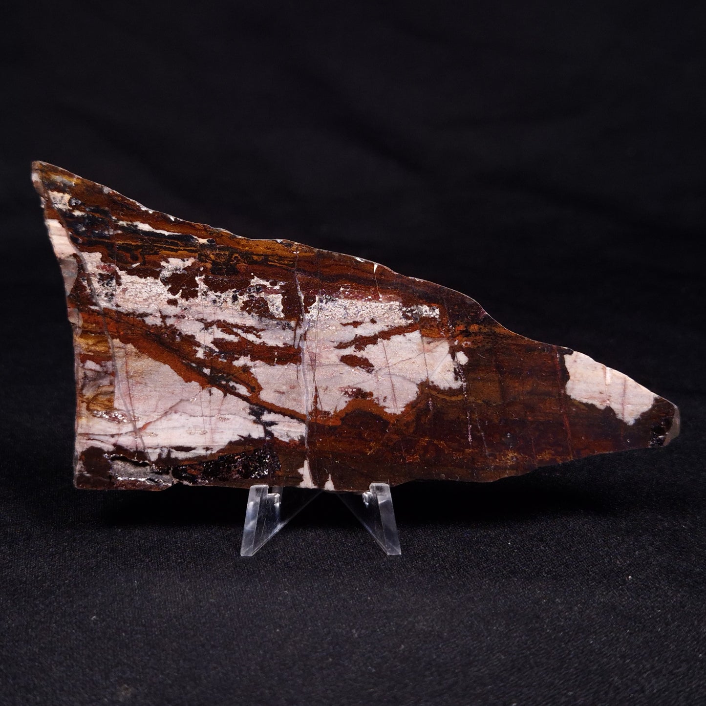STROMATOLITE, Jerrinah Formation, Proterozoic, Australia ZJF057