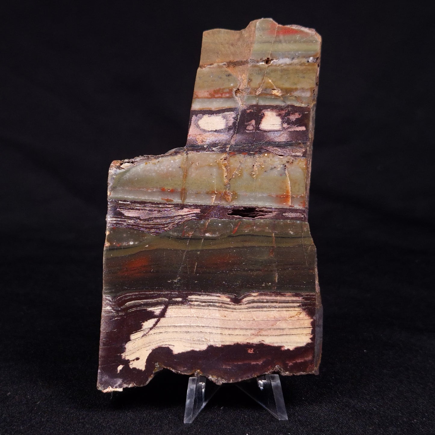 STROMATOLITE, Jerrinah Formation, Proterozoic, Australia ZJF058