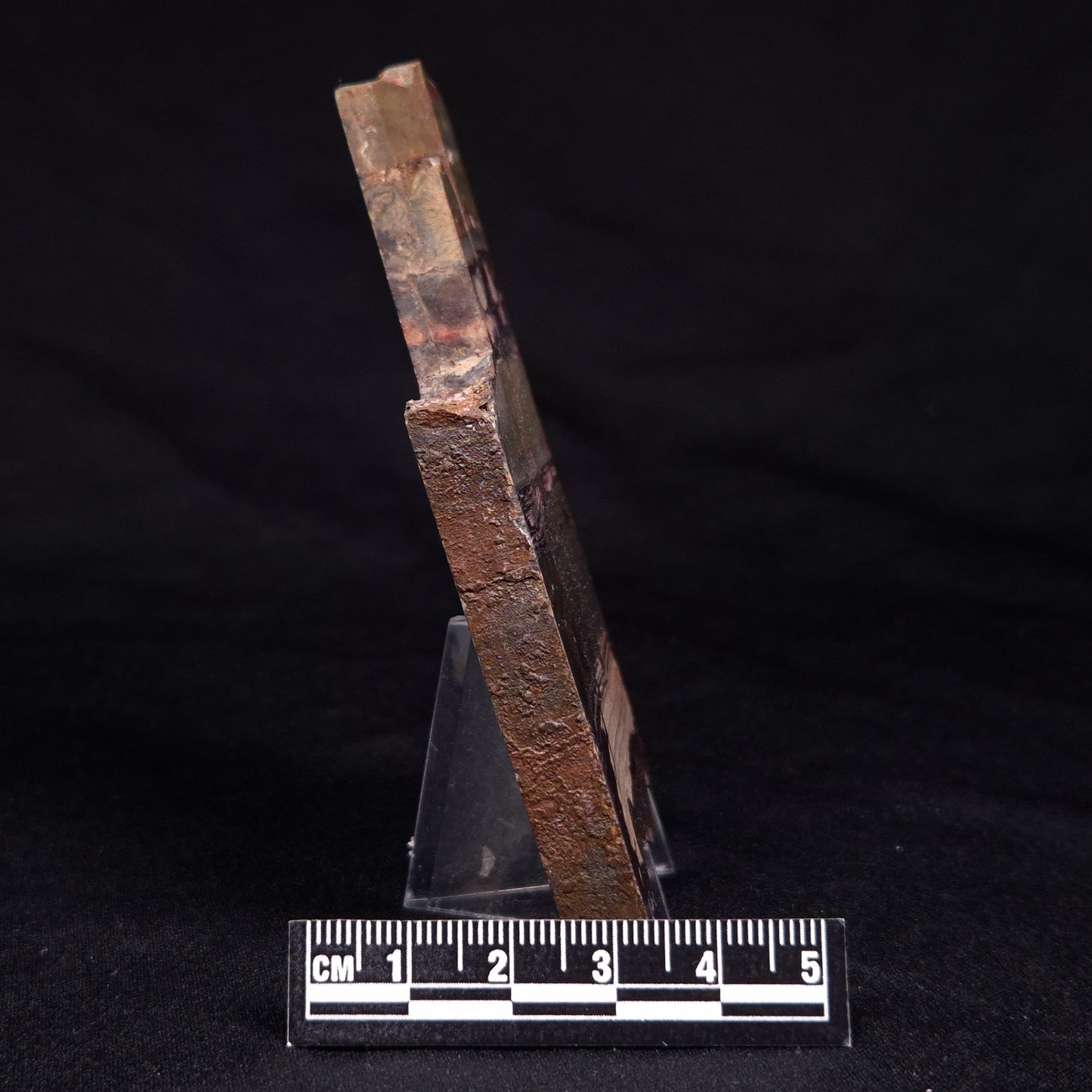 STROMATOLITE, Jerrinah Formation, Proterozoic, Australia ZJF058