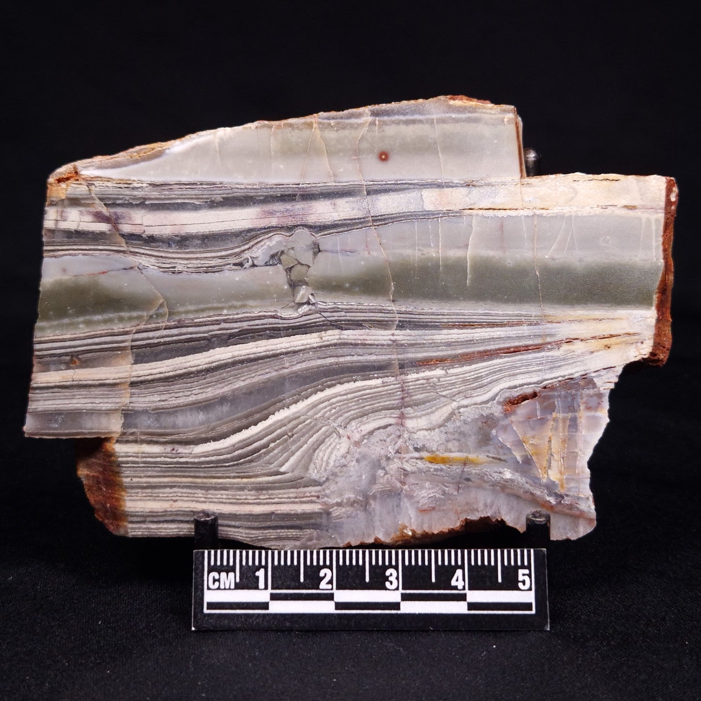 STROMATOLITE, Jerrinah Formation, Proterozoic, Australia ZJF061