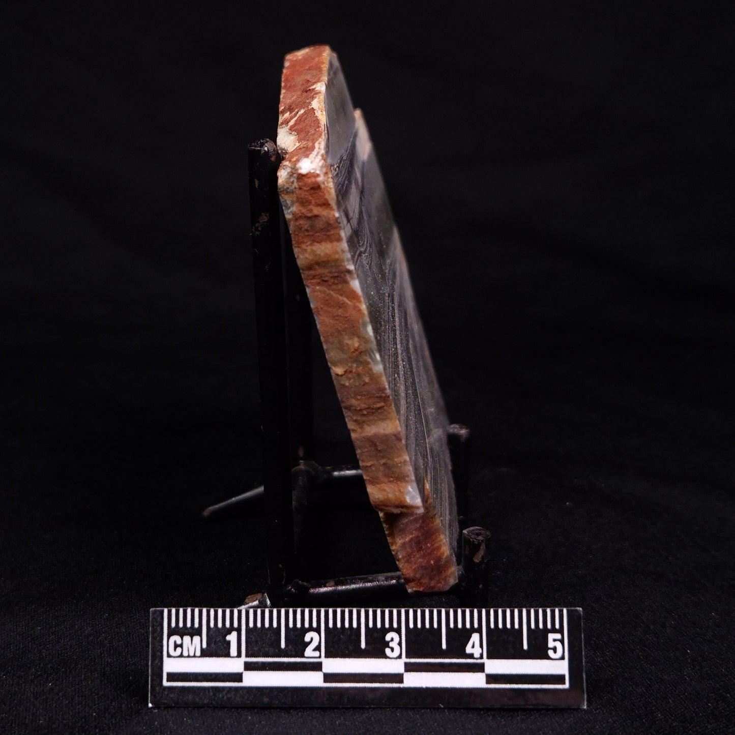 STROMATOLITE, Jerrinah Formation, Proterozoic, Australia ZJF061