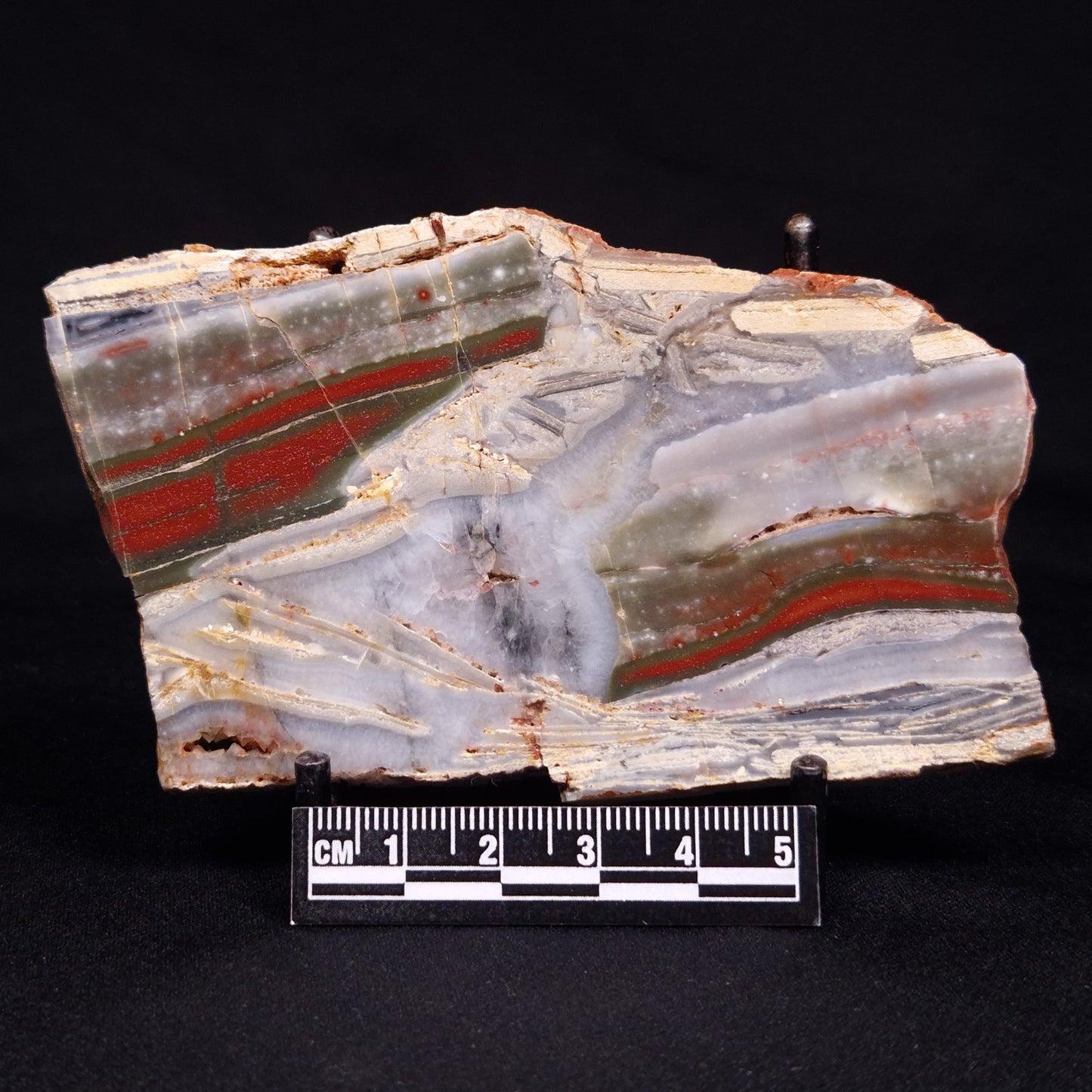 STROMATOLITE, Jerrinah Formation, Proterozoic, Australia ZJF062