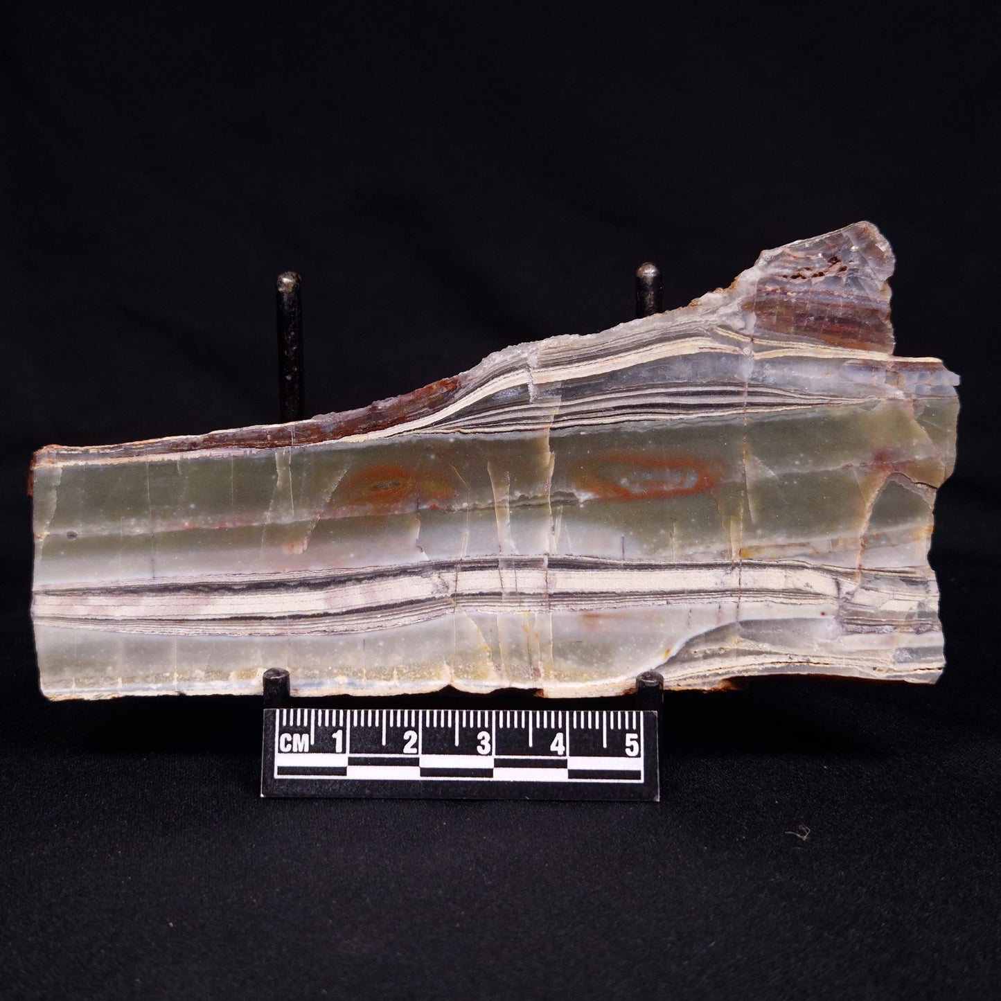 STROMATOLITE, Jerrinah Formation, Proterozoic, Australia ZJF063