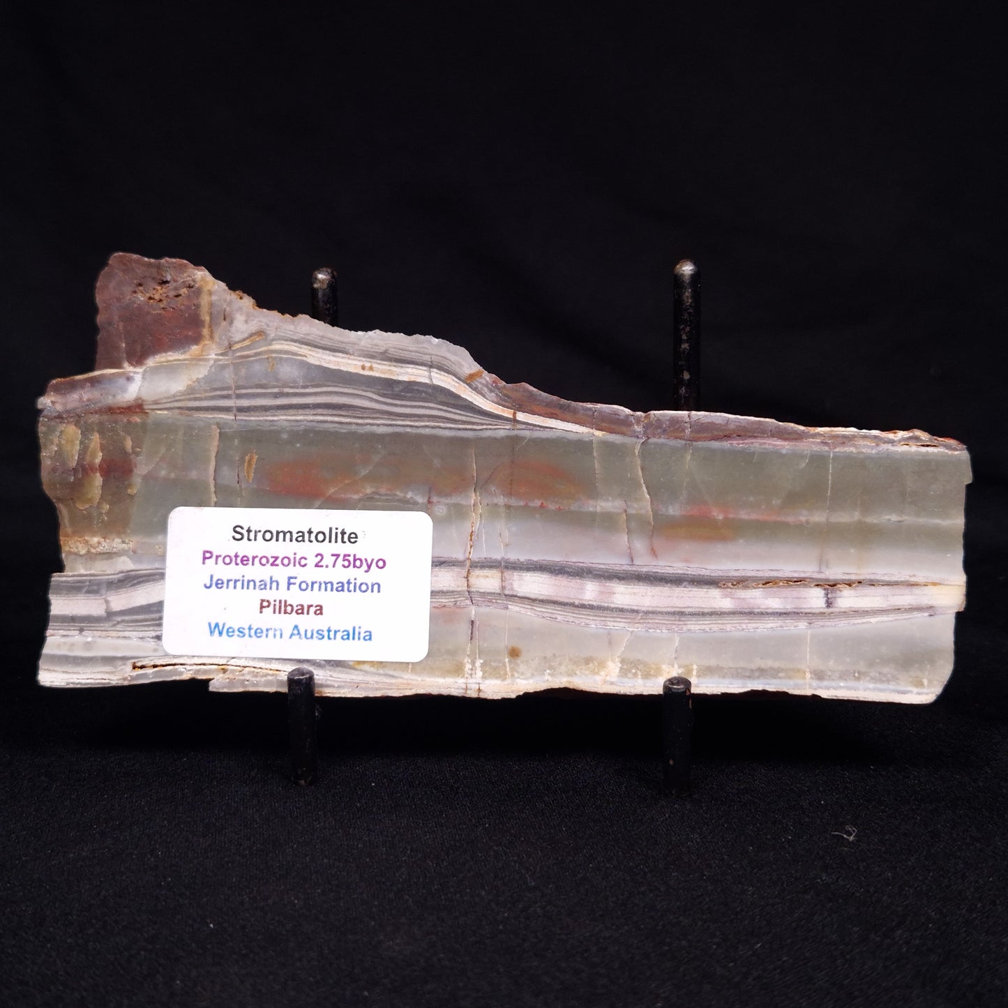 STROMATOLITE, Jerrinah Formation, Proterozoic, Australia ZJF063