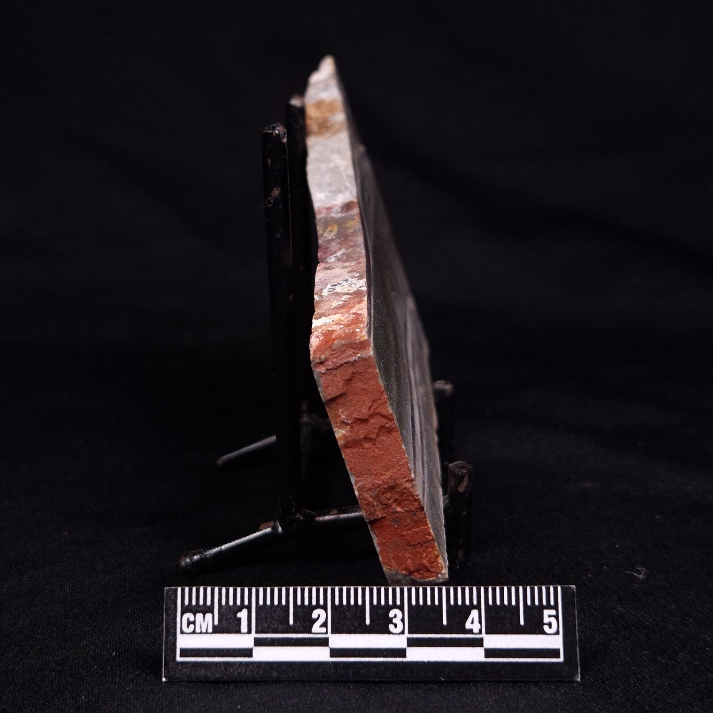 STROMATOLITE, Jerrinah Formation, Proterozoic, Australia ZJF063