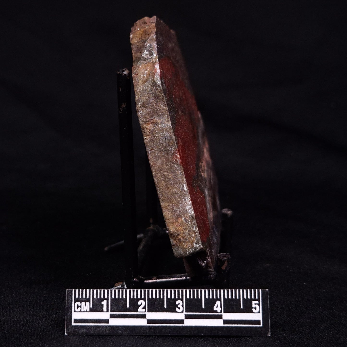 STROMATOLITE, Jerrinah Formation, Proterozoic, Australia ZJF064