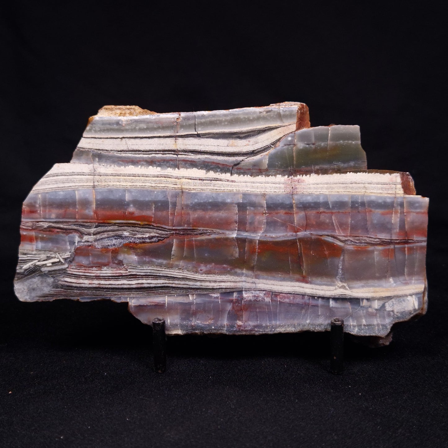 STROMATOLITE, Jerrinah Formation, Proterozoic, Australia ZJF066