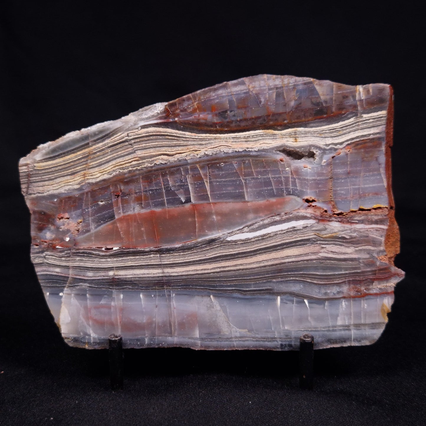 STROMATOLITE, Jerrinah Formation, Proterozoic, Australia ZJF067
