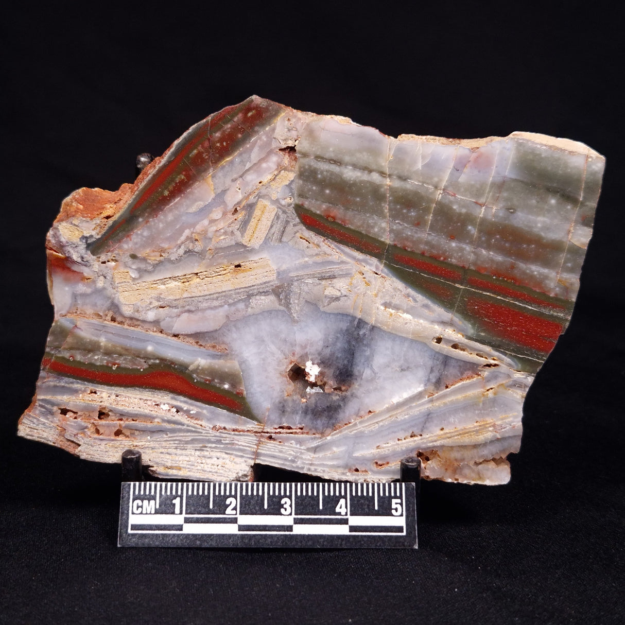 STROMATOLITE, Jerrinah Formation, Proterozoic, Australia ZJF068